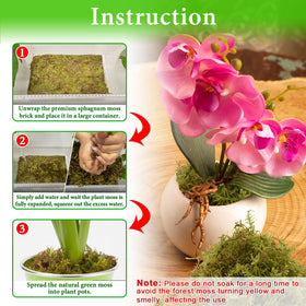 Halatool Green Forest Moss offers excellent moisture retention for roots.