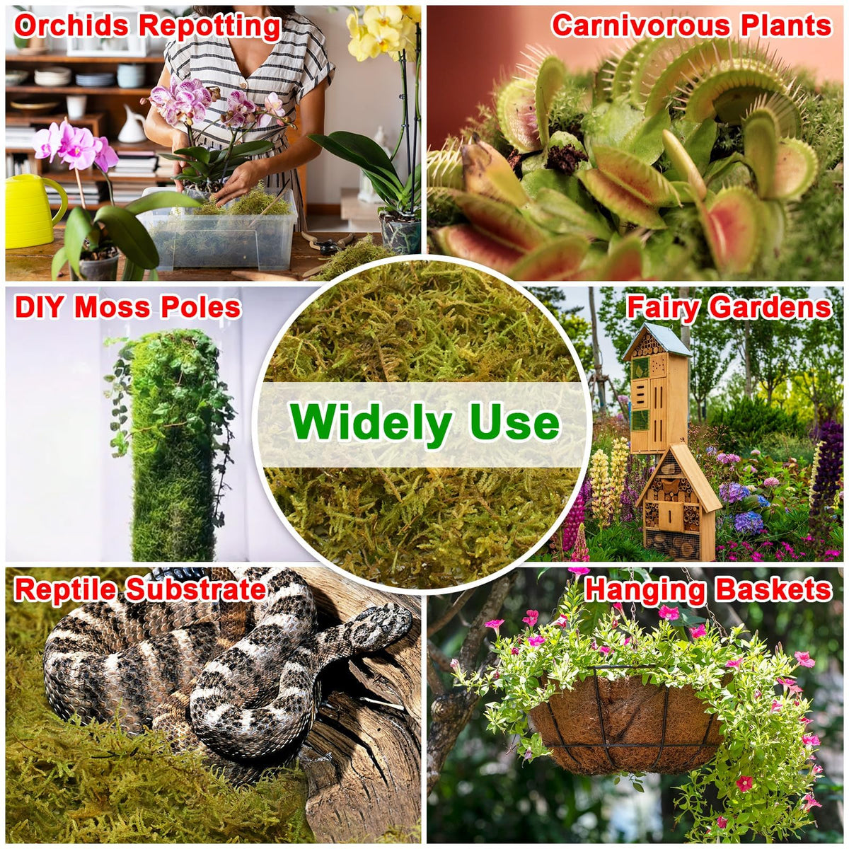 Halatool Green Forest Moss is perfect for root-wrap and potting mixes.