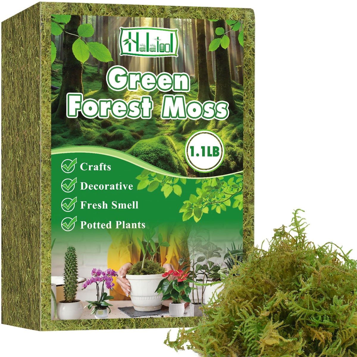 Halatool forest moss pack for plants showing natural texture and quality.