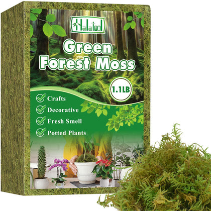 Halatool forest moss pack for plants showing natural texture and quality.