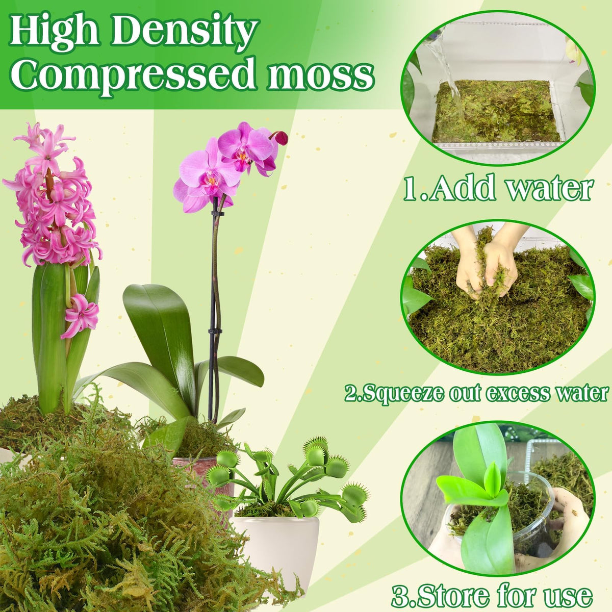 Halatool indoor-plant-cover moss adds decorative top layer.