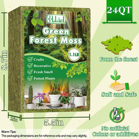 Halatool moisture-retention moss demonstrates balanced humidity for pots.