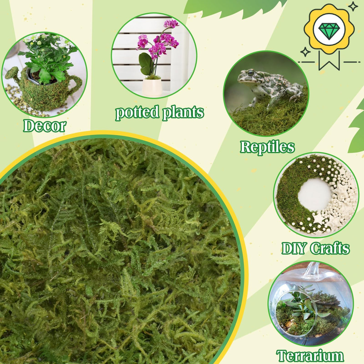 Halatool reptile-habitat moss provides safe natural bedding.