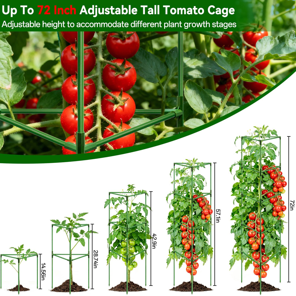 Halatool heavy-duty tomato cage provides vertical support for tall plants