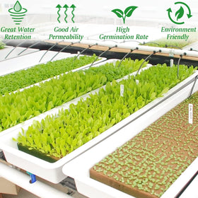 Halatool hydroponic seed starting plugs in a propagation setup.