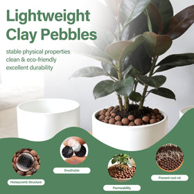 Halatool hydroton pebbles promote airflow around roots for orchids