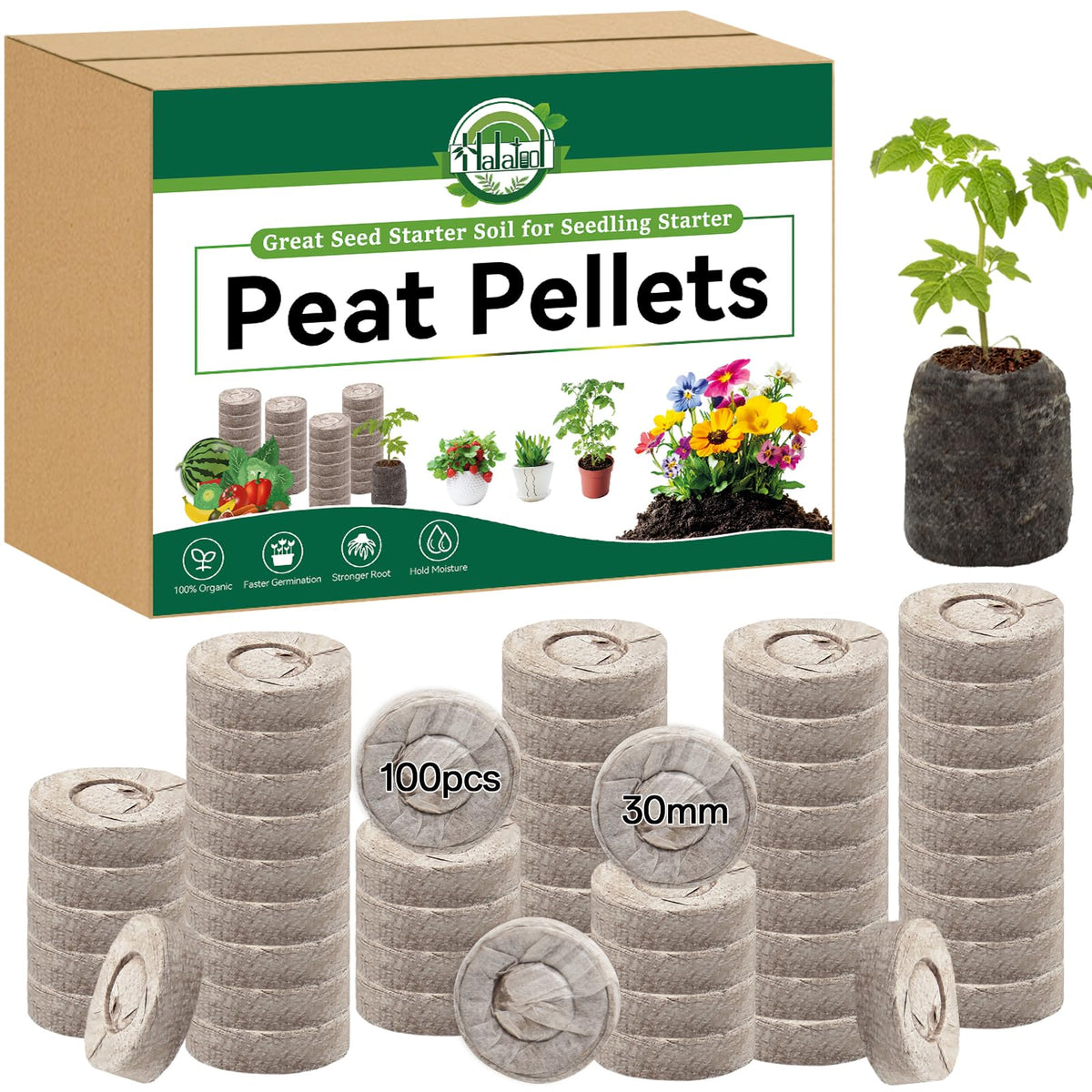 Halatool peat pellets 30mm before water absorption ready for germination.