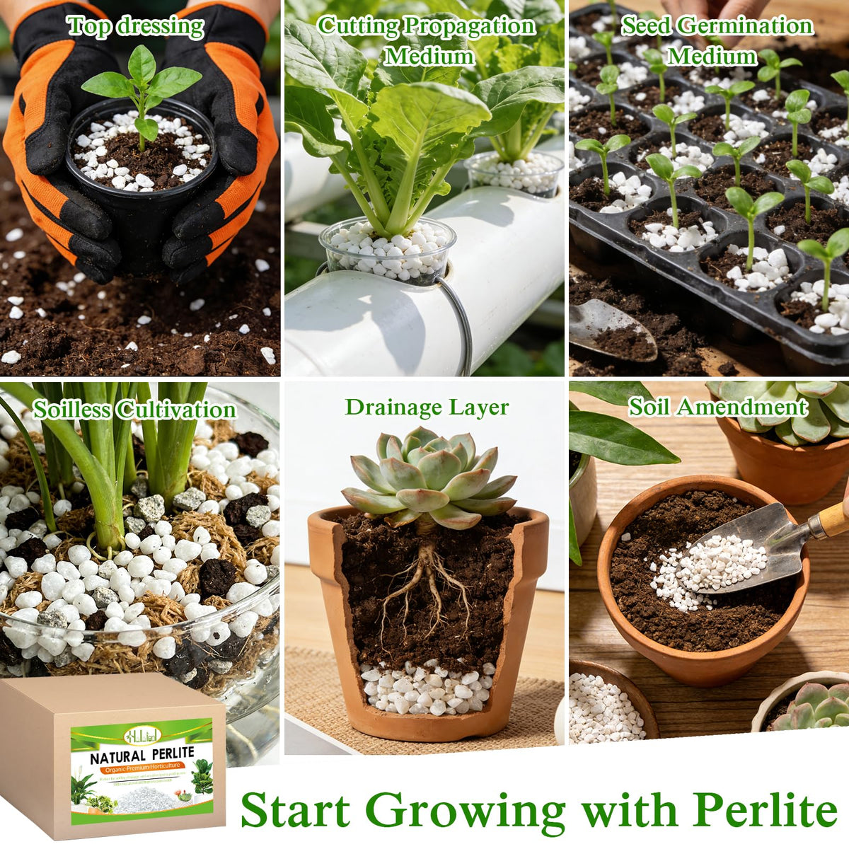 Halatool Perlite suits acid-loving plants with improved drainage