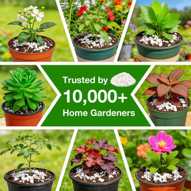 Halatool perlite ideal for indoor gardening applications