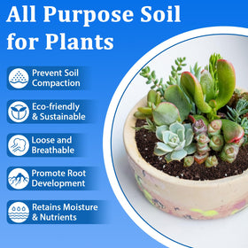 Halatool soil blend with peat, vermiculite, perlite improves drainage.