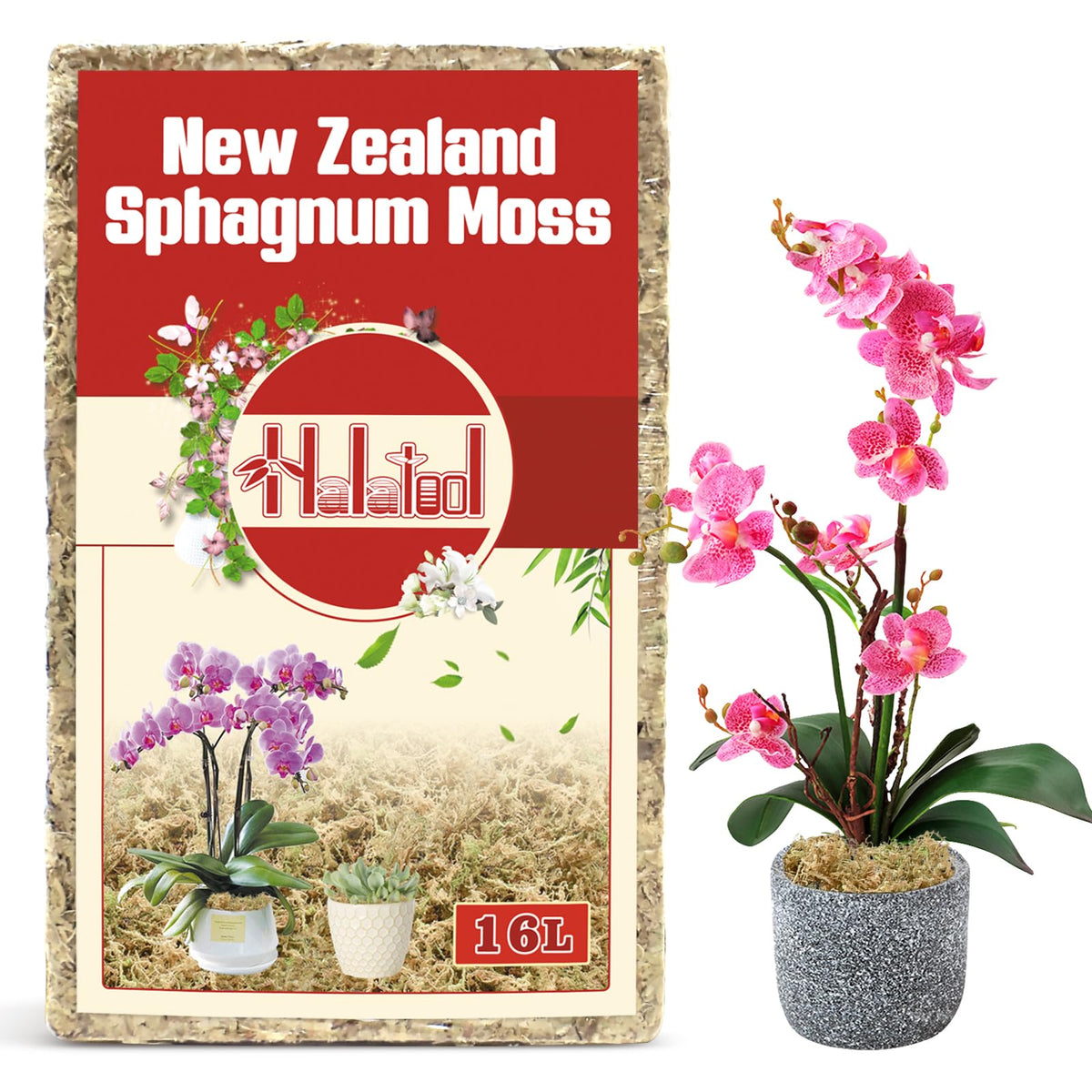 Halatool premium New Zealand sphagnum moss 200g with natural texture for orchid roots