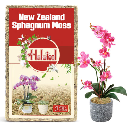 Halatool premium New Zealand sphagnum moss 200g with natural texture for orchid roots