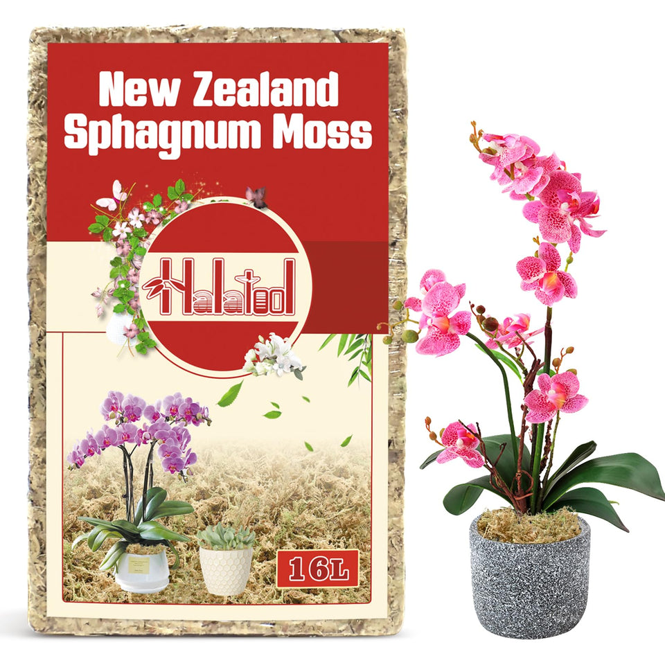 Halatool premium New Zealand sphagnum moss 200g with natural texture for orchid roots