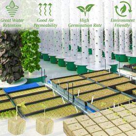 Halatool clone cube supports propagation from cuttings with moisture retention.
