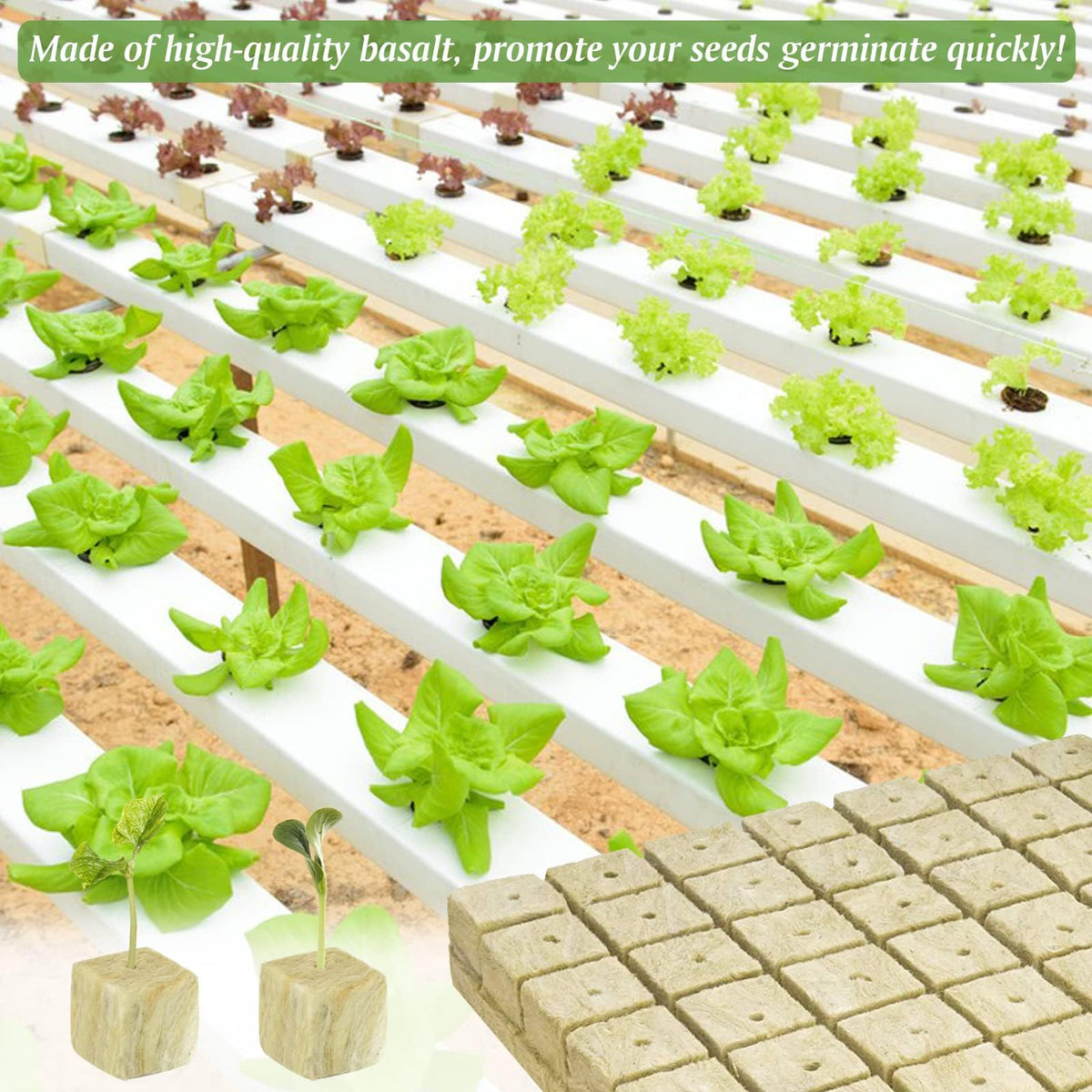 Halatool-packaged rockwool cubes ready for hydroponics use.