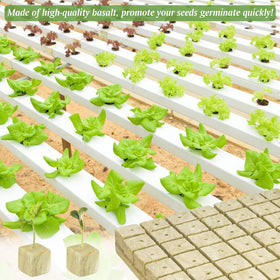 Halatool-packaged rockwool cubes ready for hydroponics use.