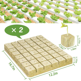 Halatool rockwool cubes soaking to show moisture readiness for roots.