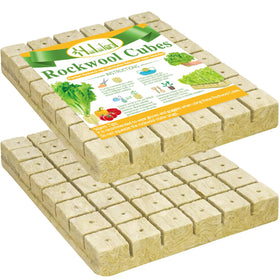 Halatool 2-inch rockwool cube on a starter tray for seed germination.
