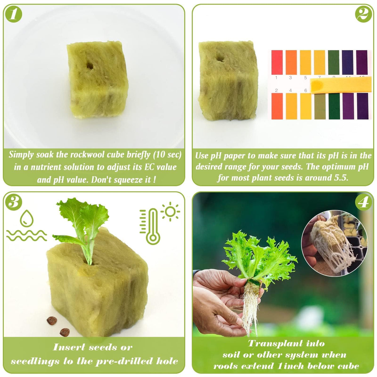 Halatool hydroponics cubes demonstrating high water absorption and air flow