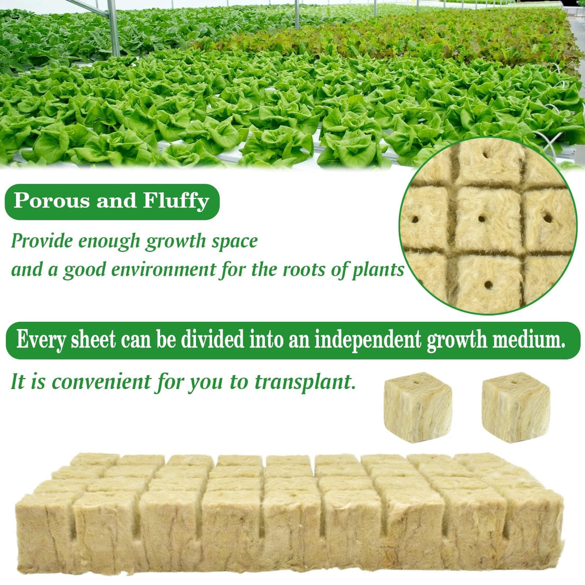 Halatool rockwool cubes pack of 72 for bulk propagation.