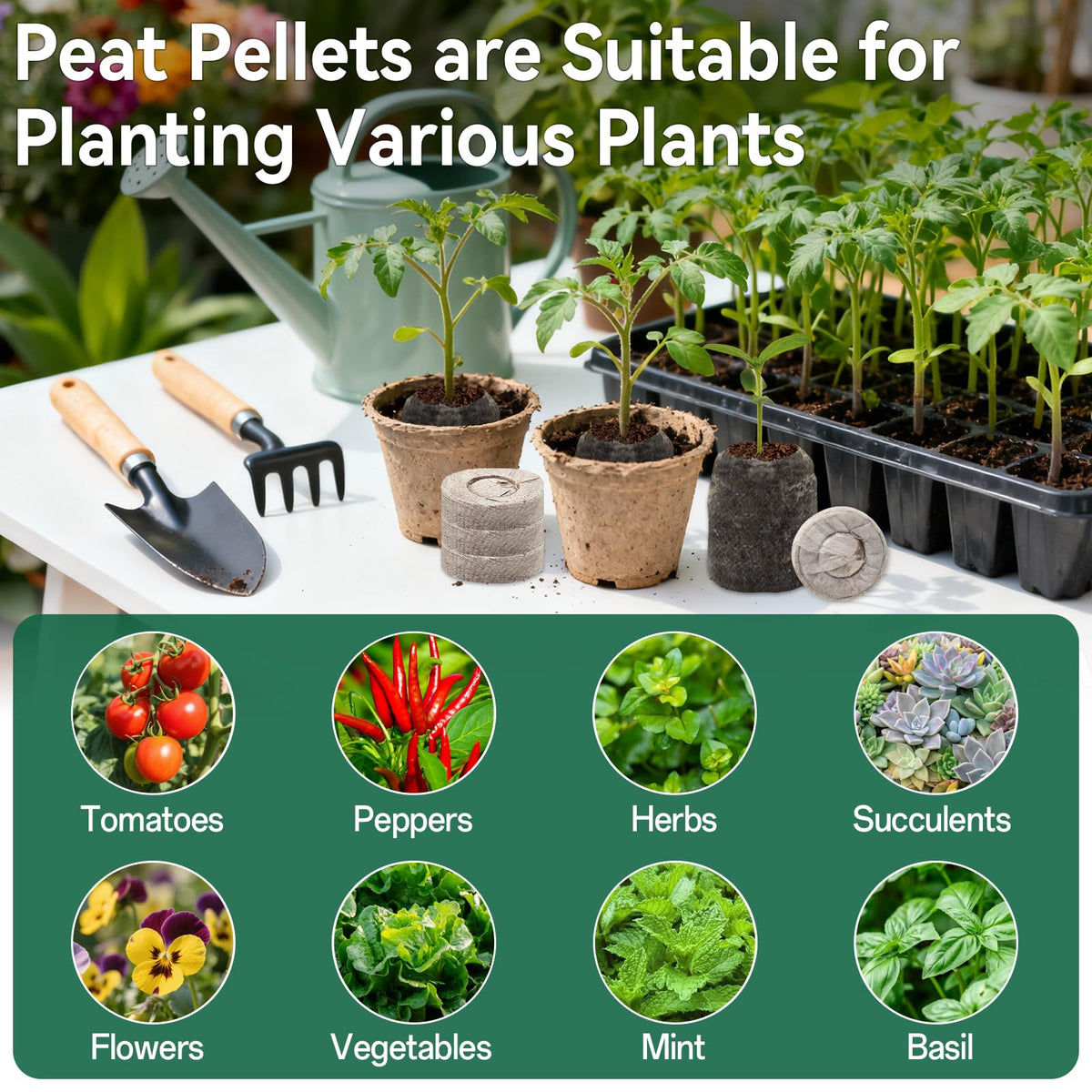 Halatool seeds-in-pellets ideal for tomatoes, peppers, and herbs.