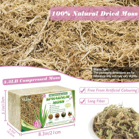 Halatool sphagnum moss brick after soak expands to moisture-rich moss for pots.