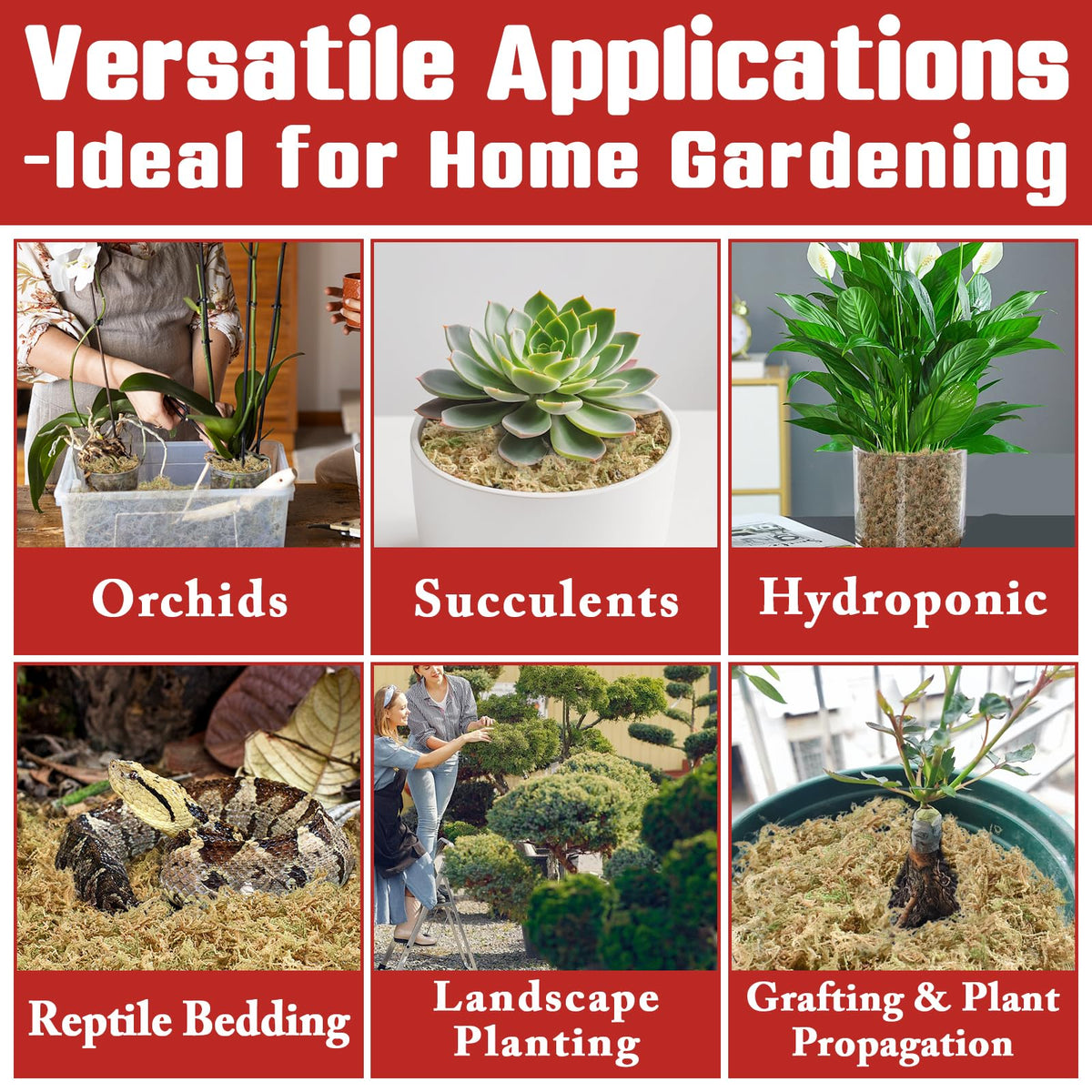 Halatool orchid moss setup for terrarium or potting uses