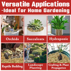 Halatool orchid moss setup for terrarium or potting uses