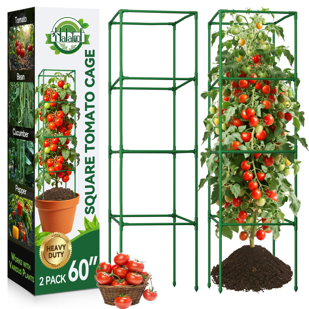 Halatool 60in square tomato cage ready for vertical growth and climbing crops