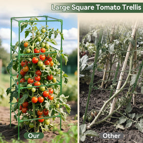 Halatool tomato cage with pointed base for easy soil insertion