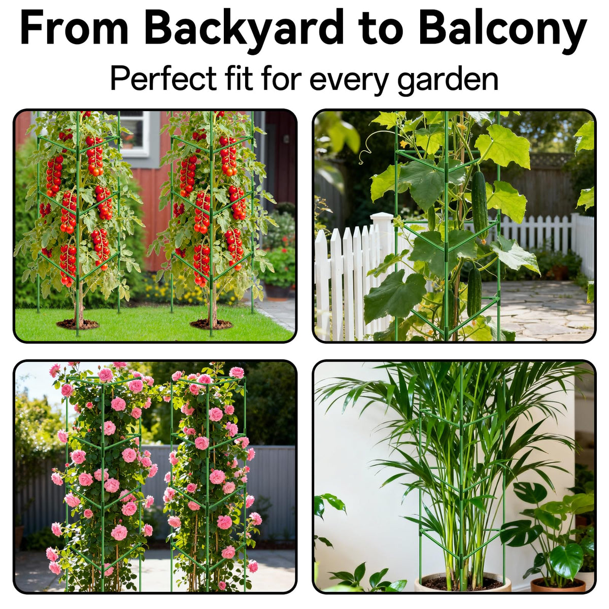 Halatool versatile climbing cage supports tomatoes, beans, and vines