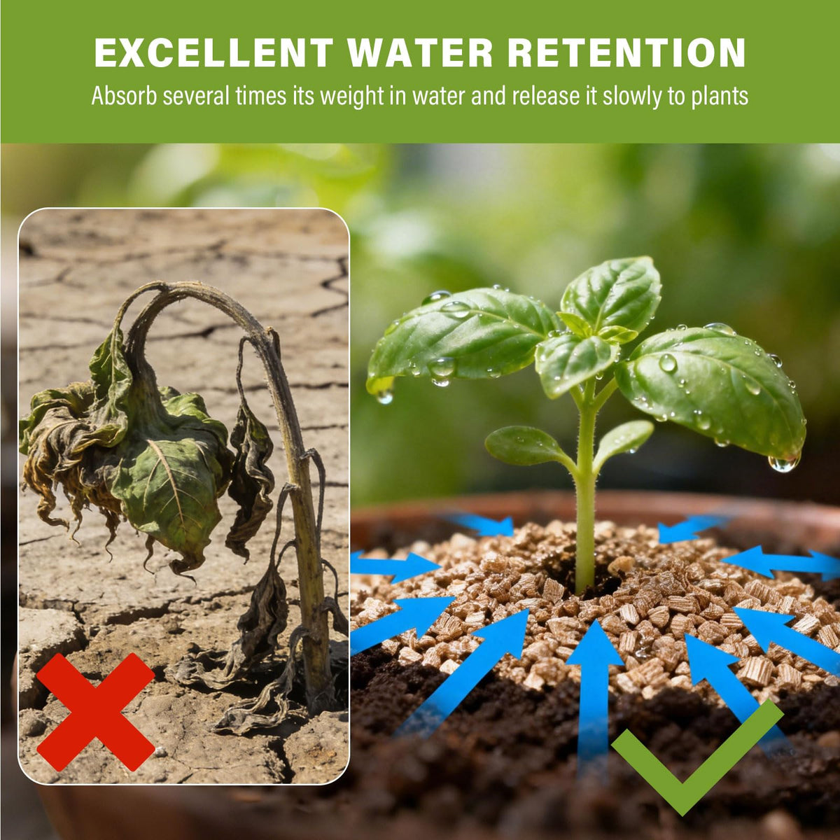 Halatool vermiculite used as soil conditioner for indoor plants.