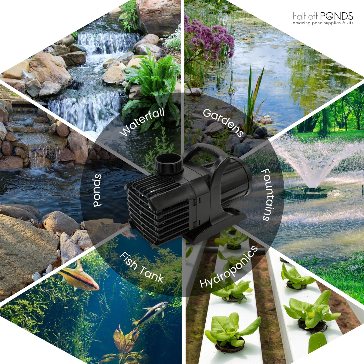 HALF OFF PONDS compact-body layout demonstrates fit in tight basins