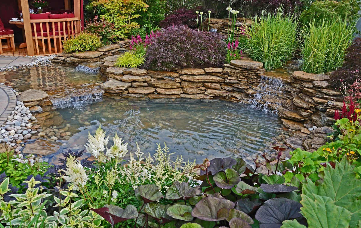 HALF OFF PONDS controller dial close-up for quick adjustments during peak algae growth
