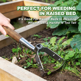 Haliaeetus stirrup hoe between plants, perfect for tight garden spots.