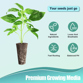 Haligo pod labels help organize trays and track plant progress.