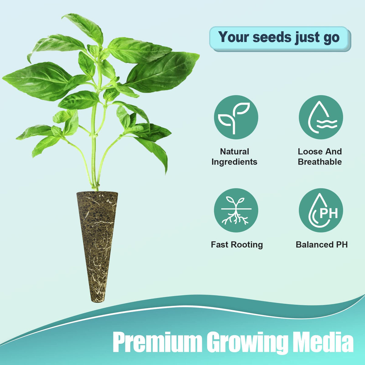 Haligo plant baskets and domes protect roots and manage moisture indoors