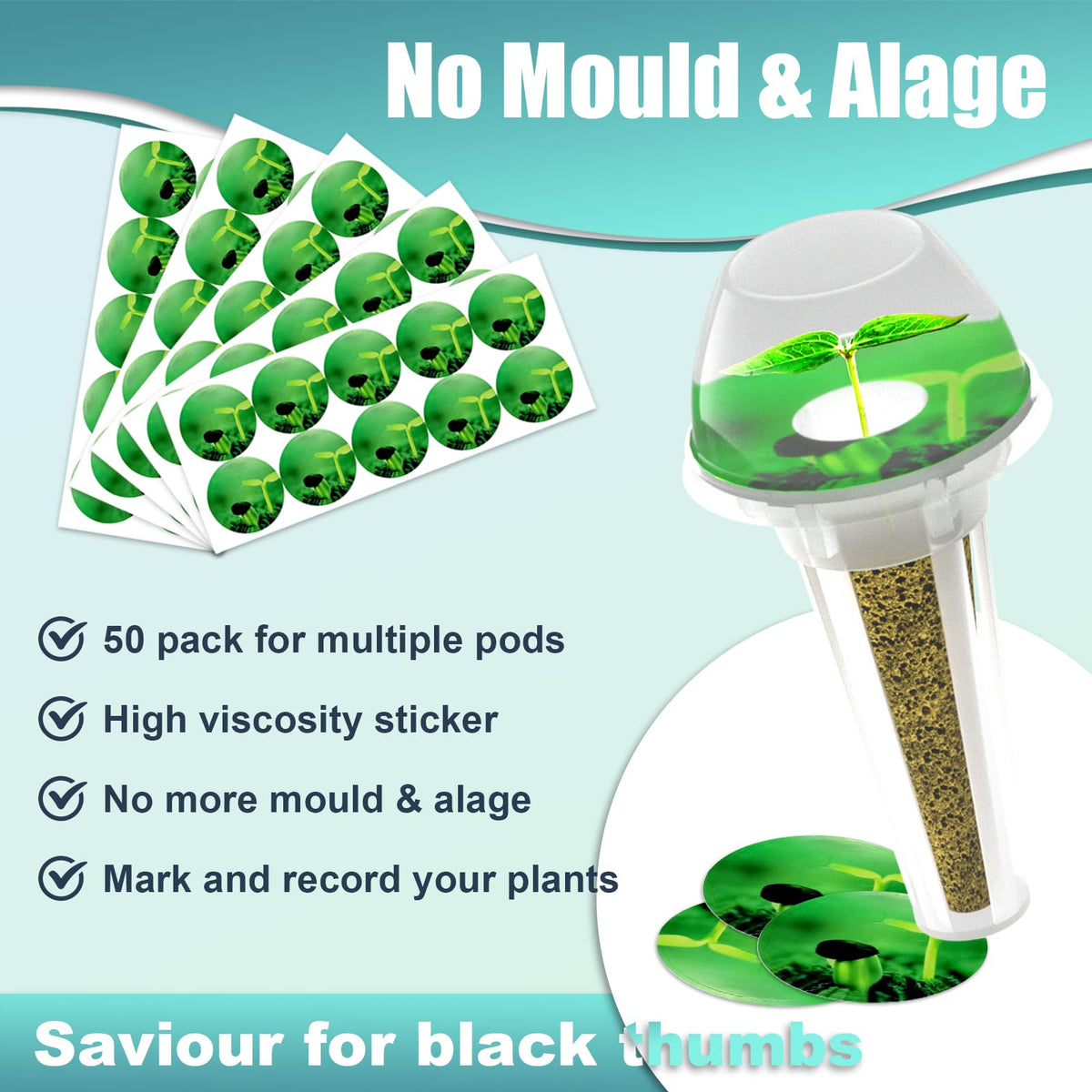 Haligo transplant-friendly pods let seedlings move with ease