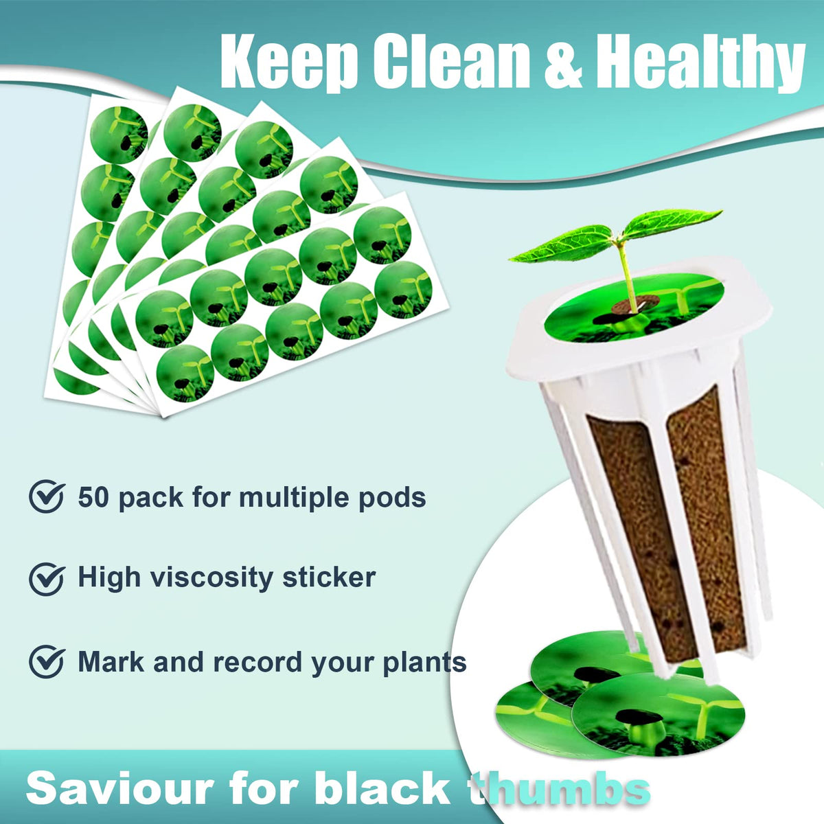 Haligo seedling rooting-ready pods simplify transplanting from sponge to soil.