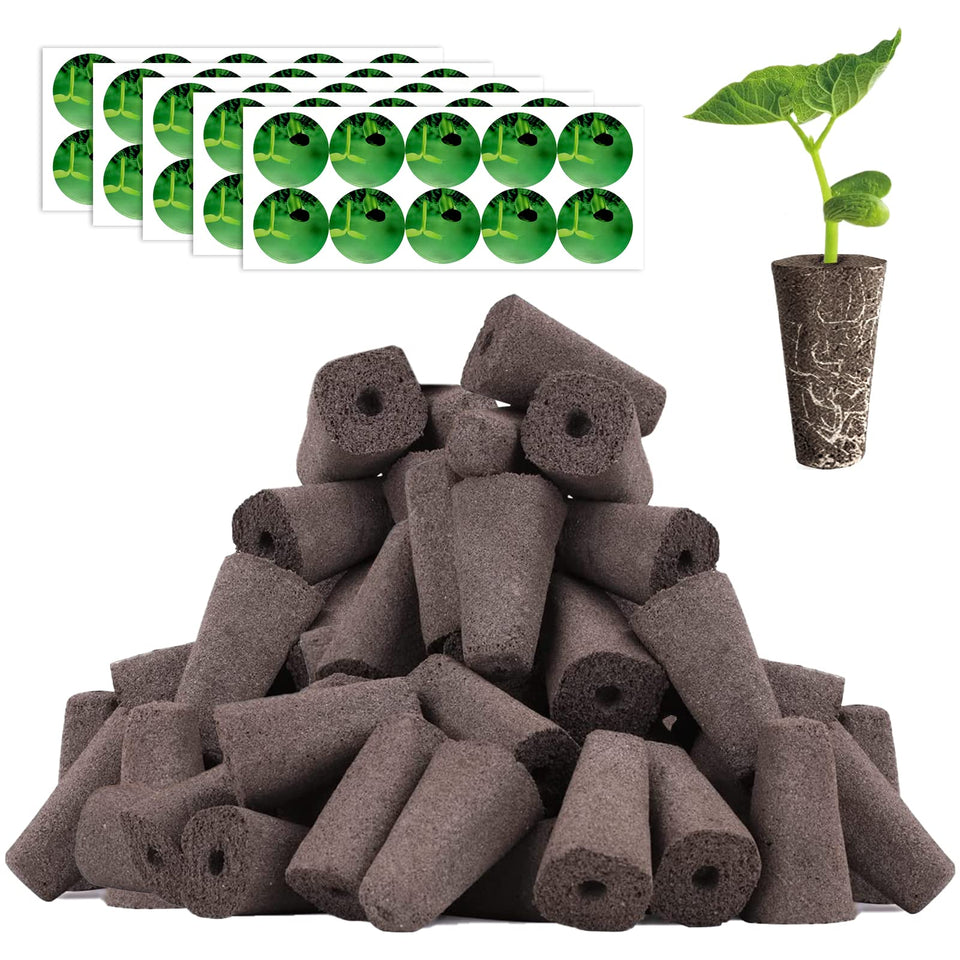 Haligo square pods in a hydroponics system support even germination and easy upkeep.