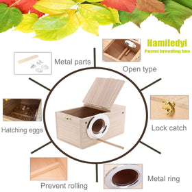 Hamiledyi perching ledge nest offers natural lounging space.