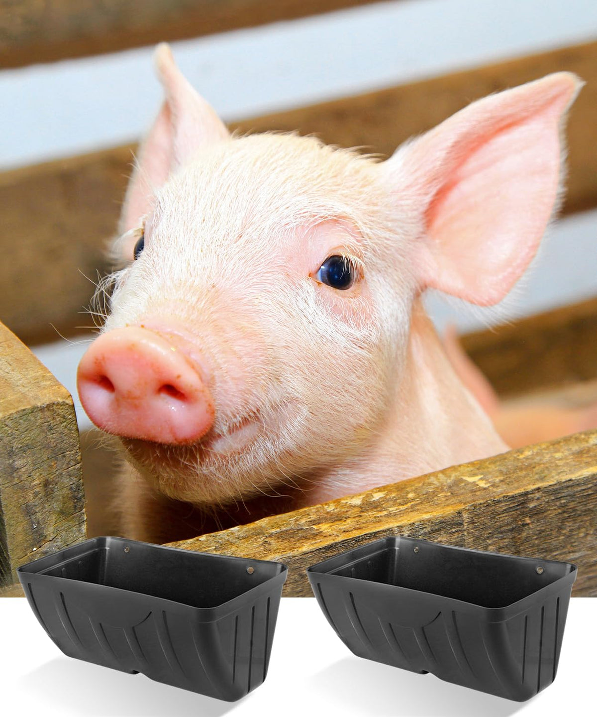 HamyHo chicken feeder placed in a coop helps keep feed off the ground.