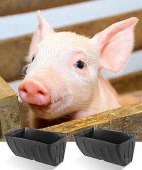 HamyHo chicken feeder placed in a coop helps keep feed off the ground.
