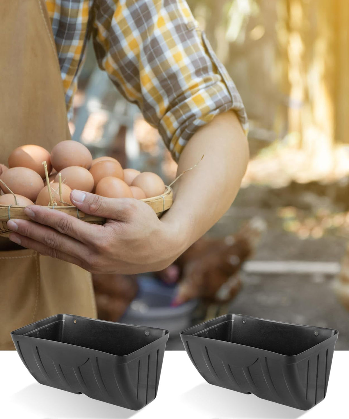 HamyHo dual-pack design suits several hens for shared feeding.