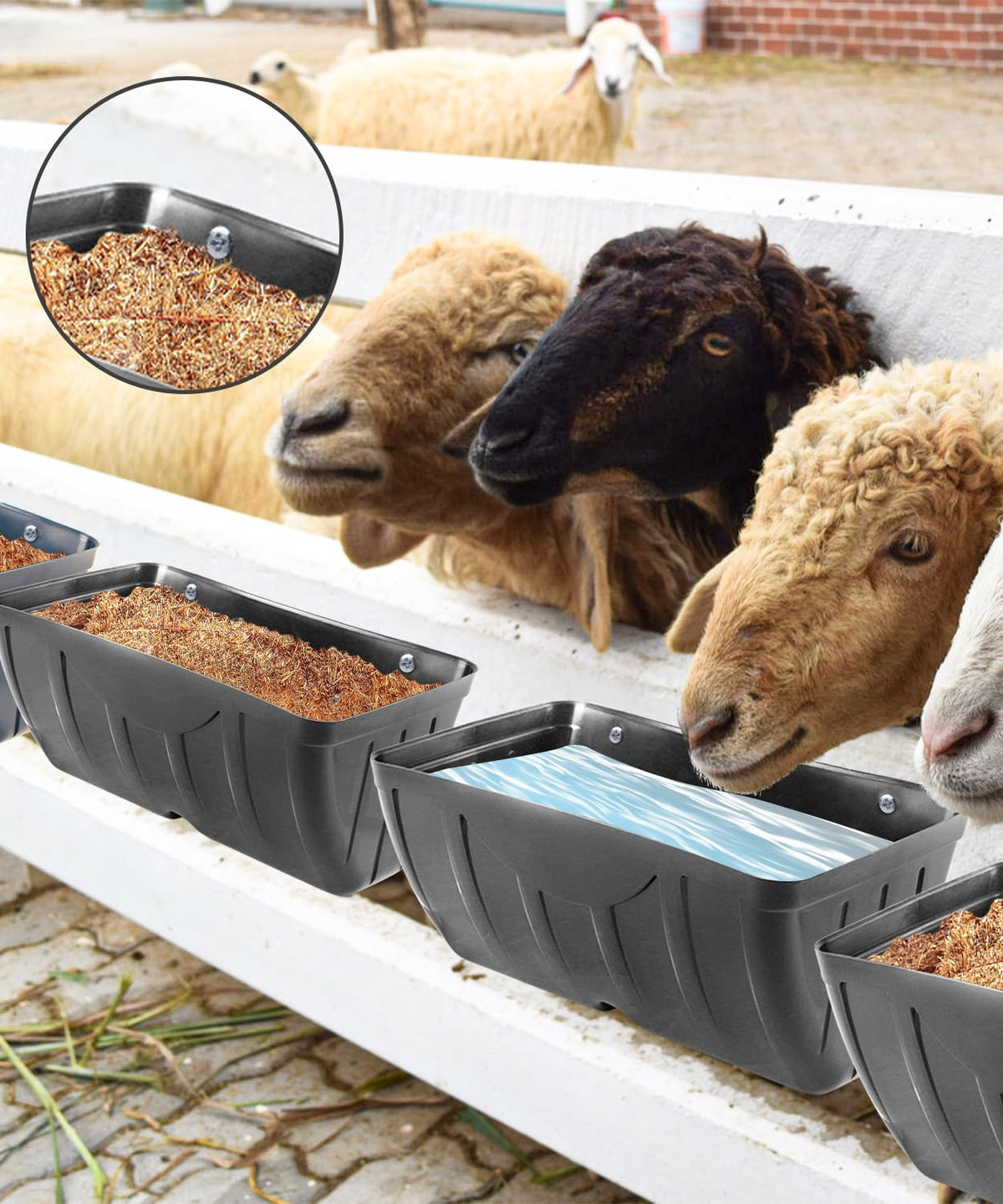 HamyHo high-quality plastic construction supports lasting farm use.