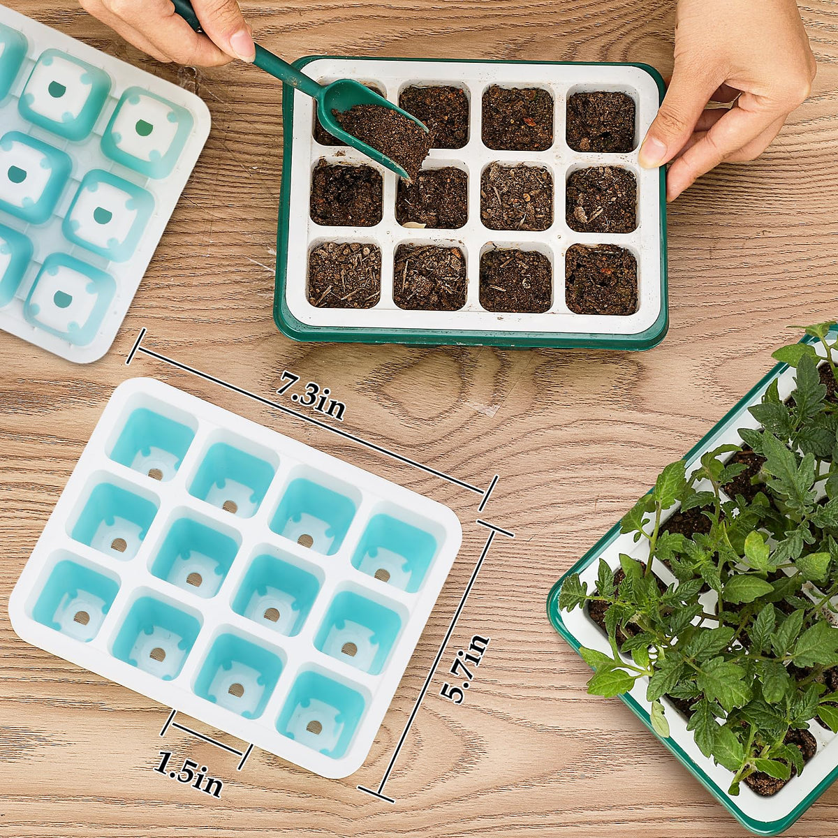 Hanaoyo seed starter compatible with substrate bases and grow lights for indoor use.
