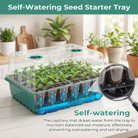 Hanaoyo transparent seed cell design lets you monitor roots.