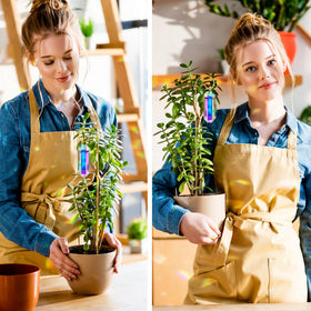 Potted plant decor with gold trellis by H&D HYALINE & DORA elevates display