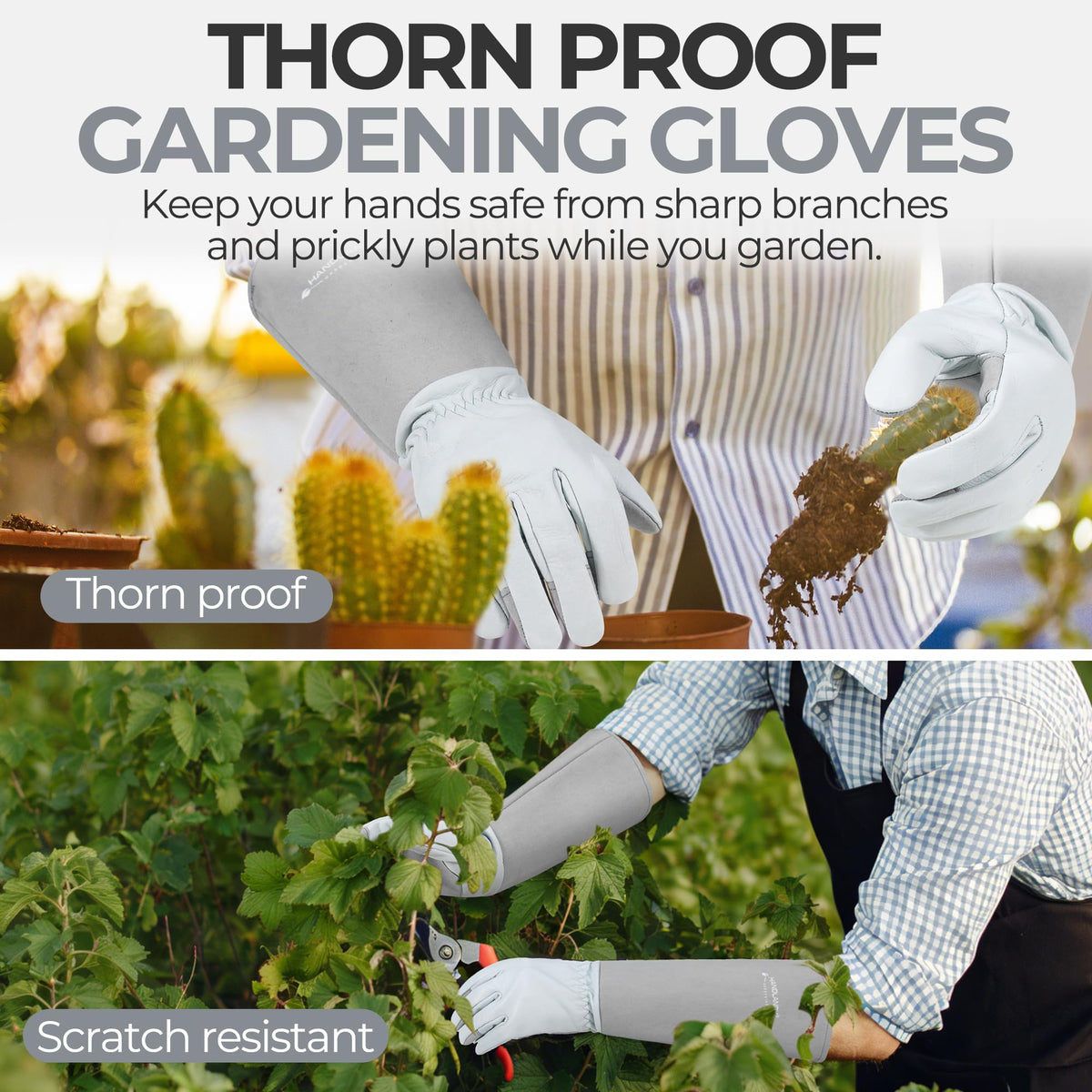 HANDLANDY forearm-protection garden gloves guard forearms in dense bushes and hedges.