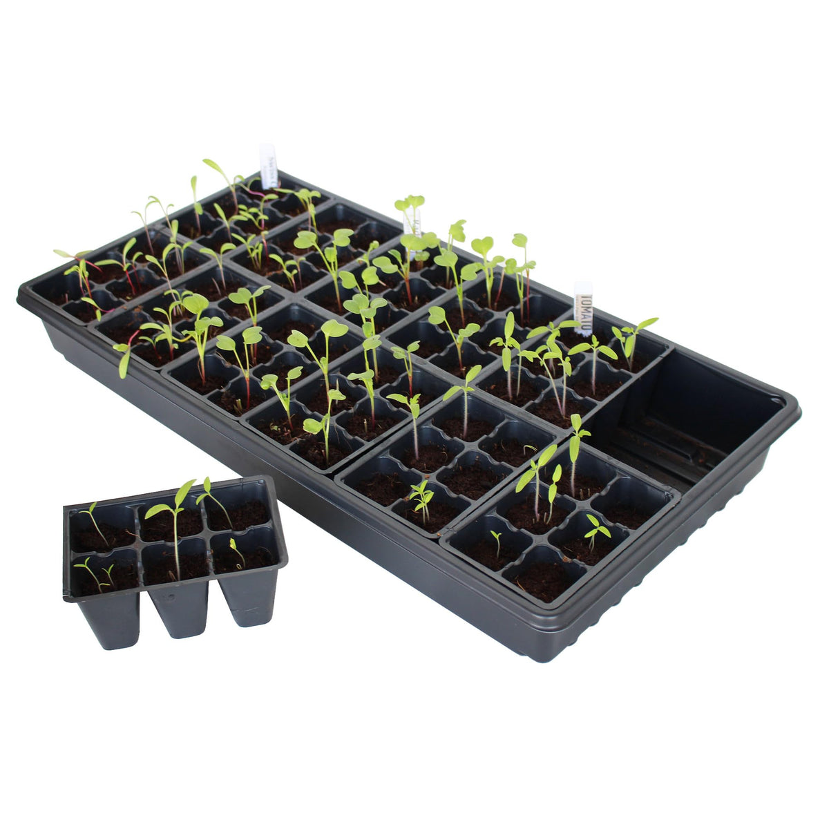 Handy Pantry BPA-free polystyrene inserts provide safe durability for seeds.
